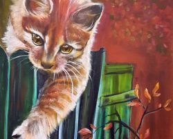 Katze am Zaun