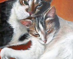 Zwei Katzen