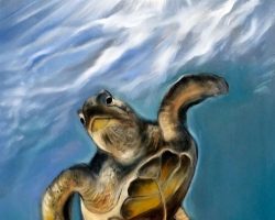 Schildkröte