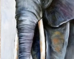 Elefant