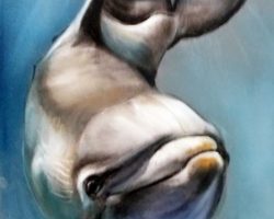 Delfin