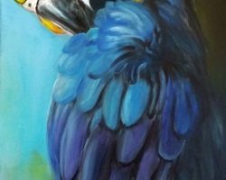 Blauer Papagei