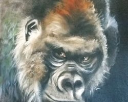 Gorilla