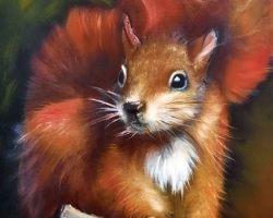 Rotes Eichhörnchen