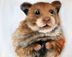 Hamster