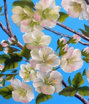 Baumblüte, 40 x 50 cm, 50,00 €