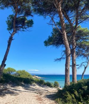 So. 16.08.26 - Weg zum Meer