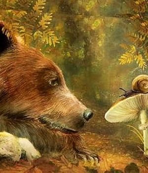 Do. 20.08.26 - Bär und Schnecke