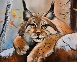 Luchs